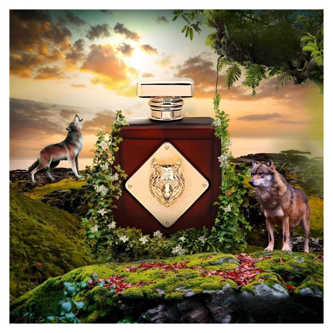 Alpha Exclusive EDP 100ml - Perfume South Africa
