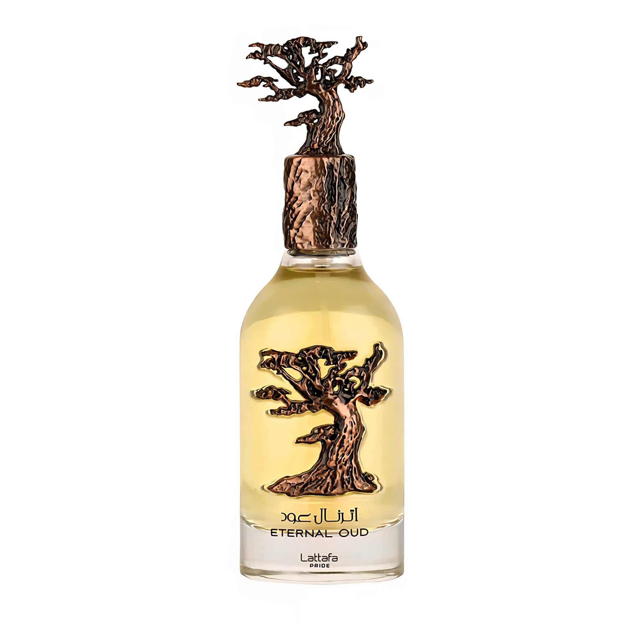 Eternal oud edp 100ml - Perfume South Africa