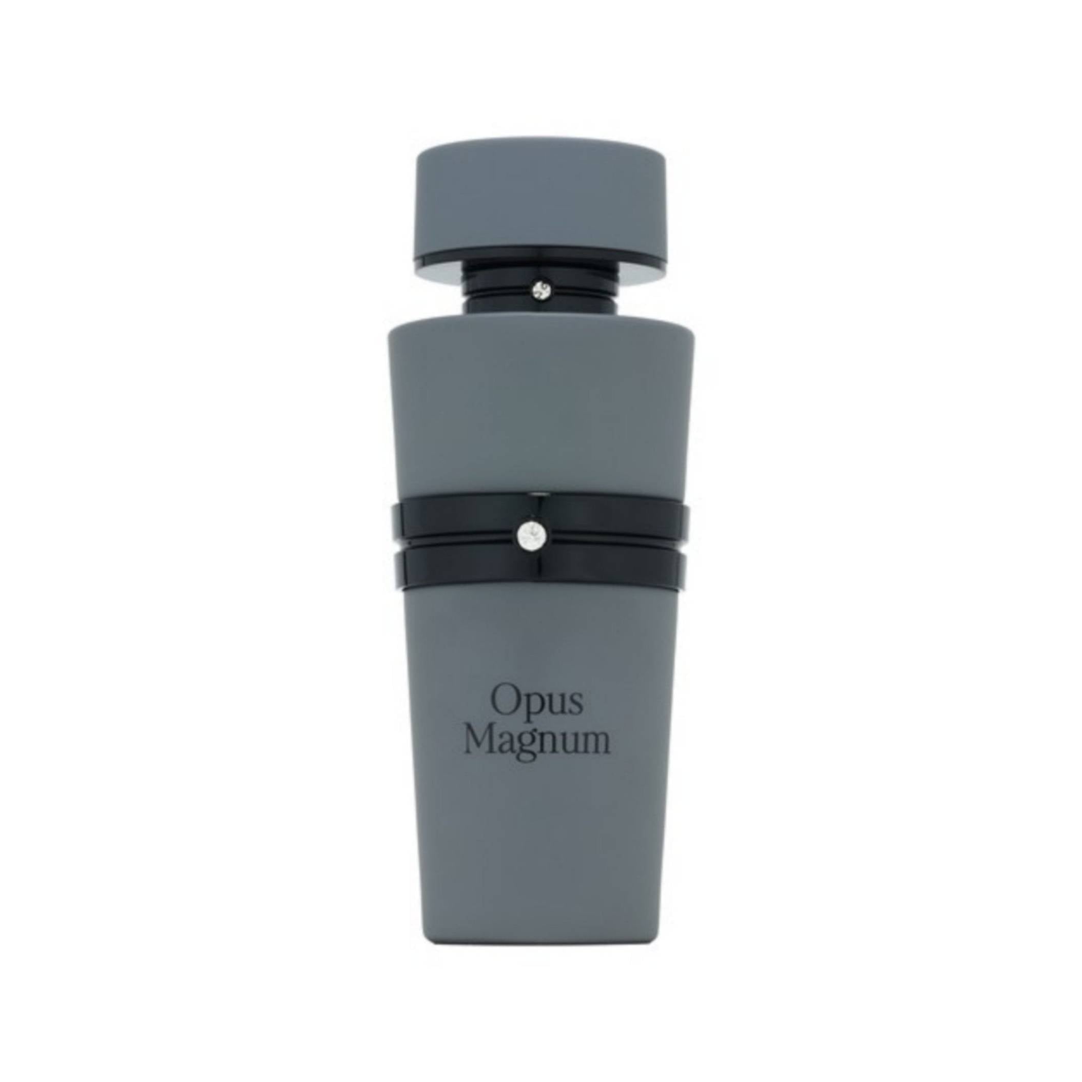 OPUS MAGNUM EDP 100ML FRENCH AVENUE - Perfume South Africa